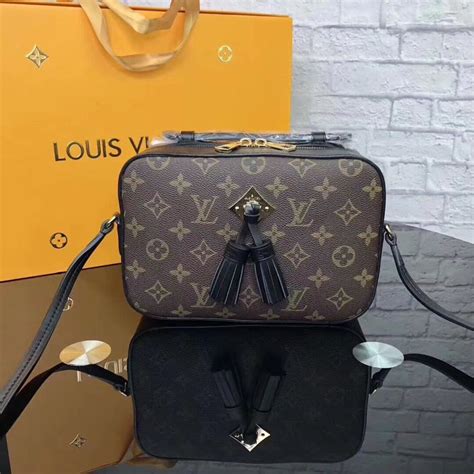 louis vuitton chain bags|Louis Vuitton crossbody camera bag.